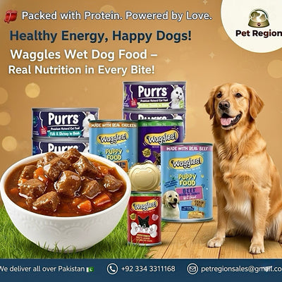 Waggles 400g Wet Jelly Dog Food in a Tin
