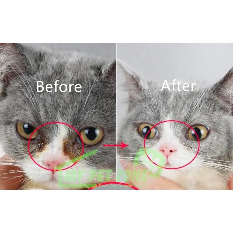 D-stain tear remover for pets' eyes and more care