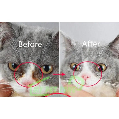 D-stain tear remover for pets' eyes and more care