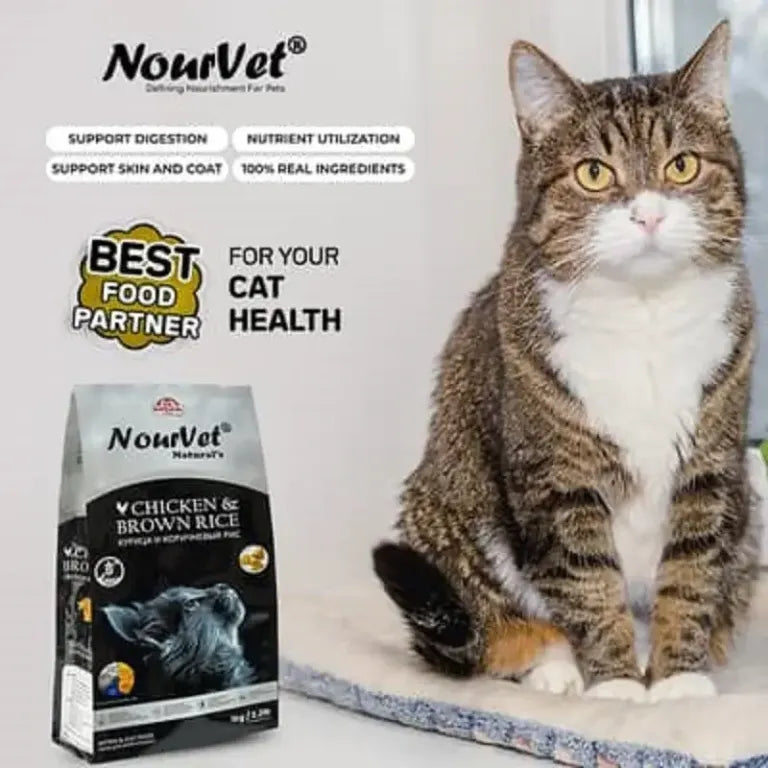 Nourvet Cat Food with Chicken and Brown Rice Flavor