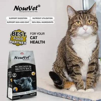 Nourvet Cat Food with Chicken and Brown Rice Flavor