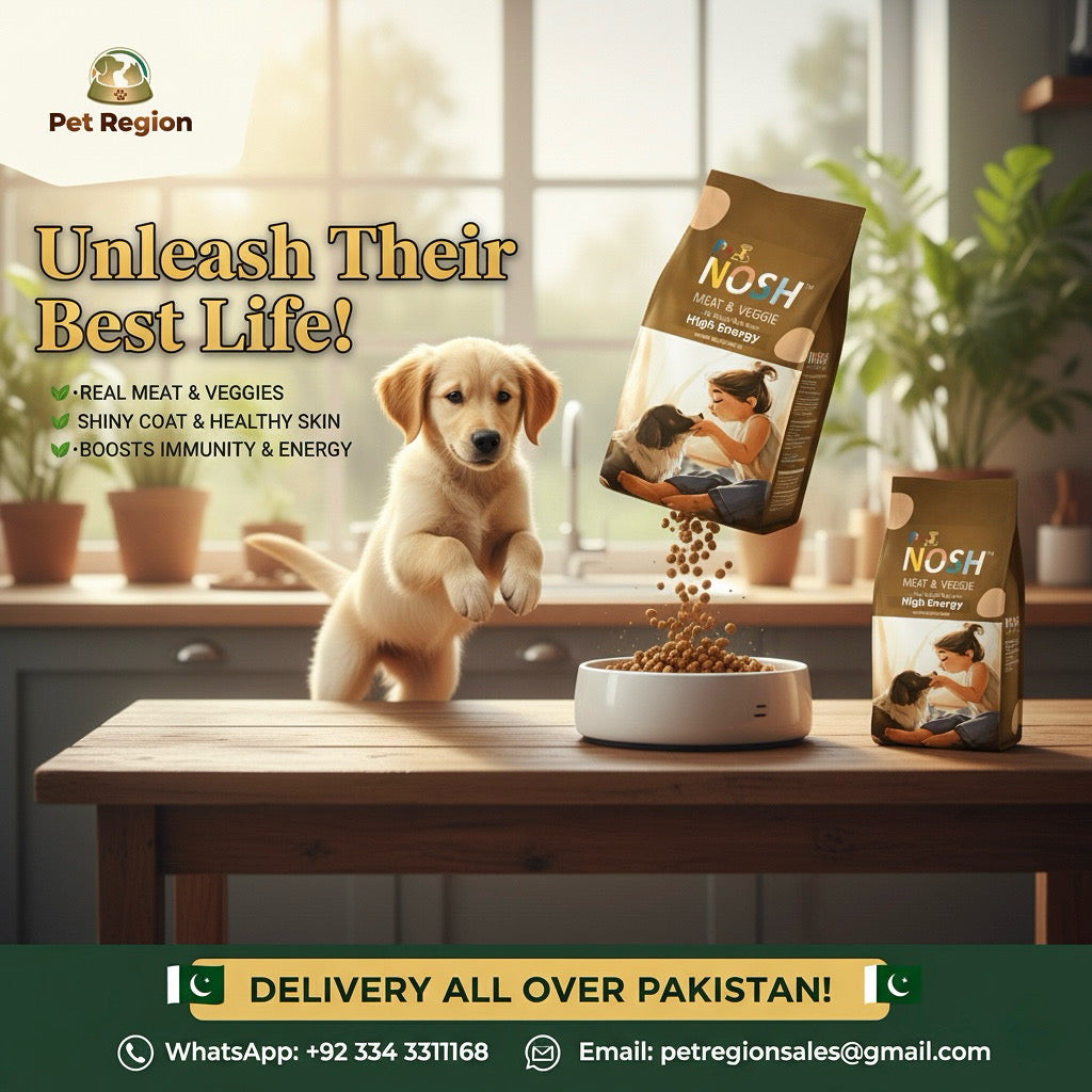 Nosh Dog Food Meat and Veggie Flavor for All Stages