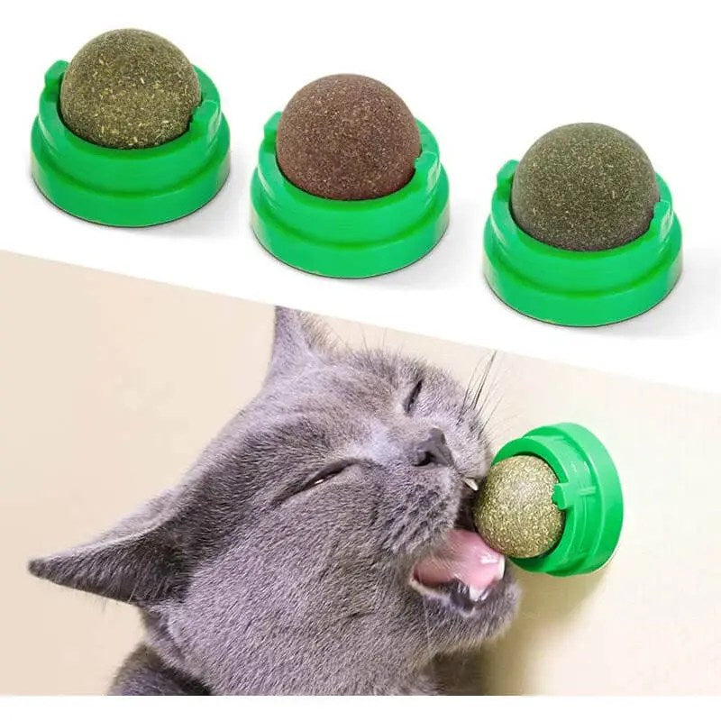 Petsnpet – Happy Cat Combo Deal 2