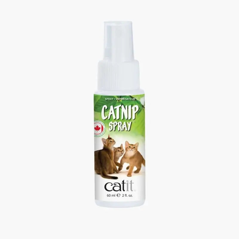 Pet-safe catnip spray for playful cats
