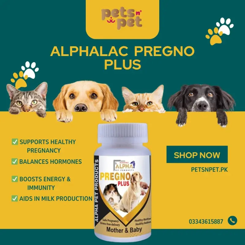 Alpha Pregno Plus: Safe Pregnancy Health for Mother & Baby