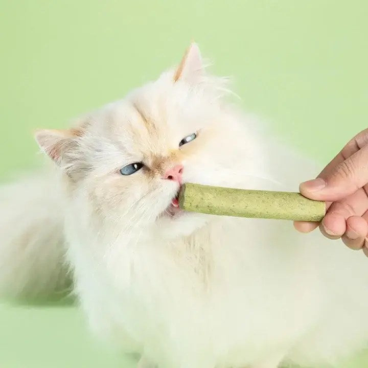 Cat Dental Chews, Chicken Flavor, for Teeth & Hairball, 6 pcs