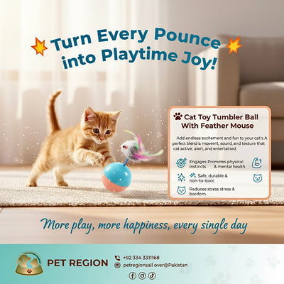 Cat Tumbler Ball Toy with Feather Mouse for Fun Play