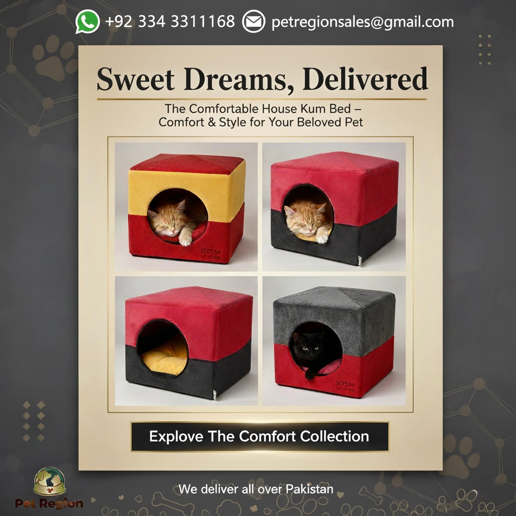 Cozy Kum Cat Bed – Comfortable Furniture for Your Pet’s Sleeping and Playtime