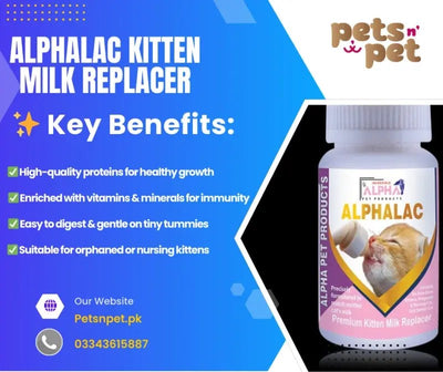 Alphalac Premium Milk Replacer for Kittens
