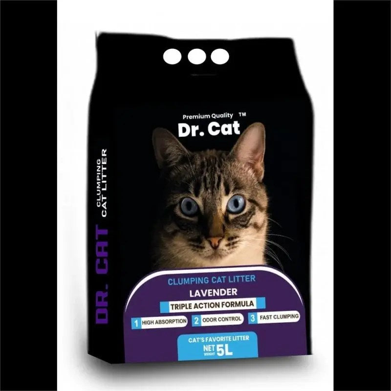 PetsnPet Deal 1 – Welcome Home Kitty Pack