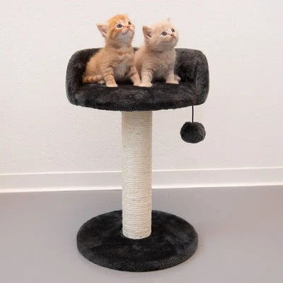Cat Tree with Scratching Pole, Bed & Toy – Fun Rest Spot, 47x31x30 cm