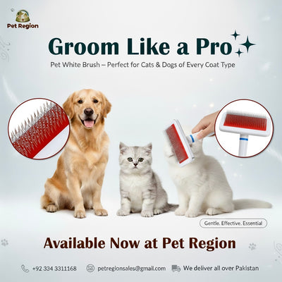 Pet White brush Large Comb for Cats and Dogs