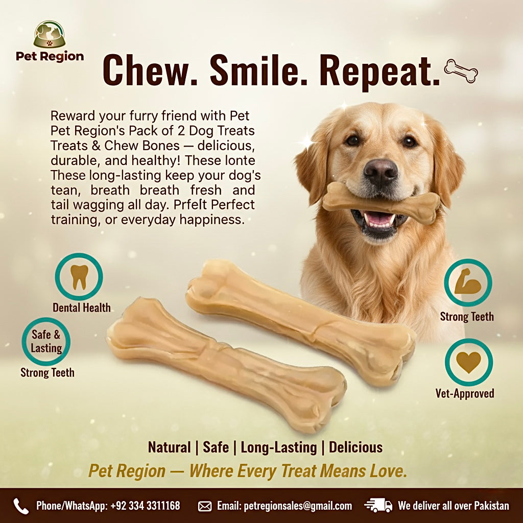 Pack of 2 Dog Treats and Chews Bones