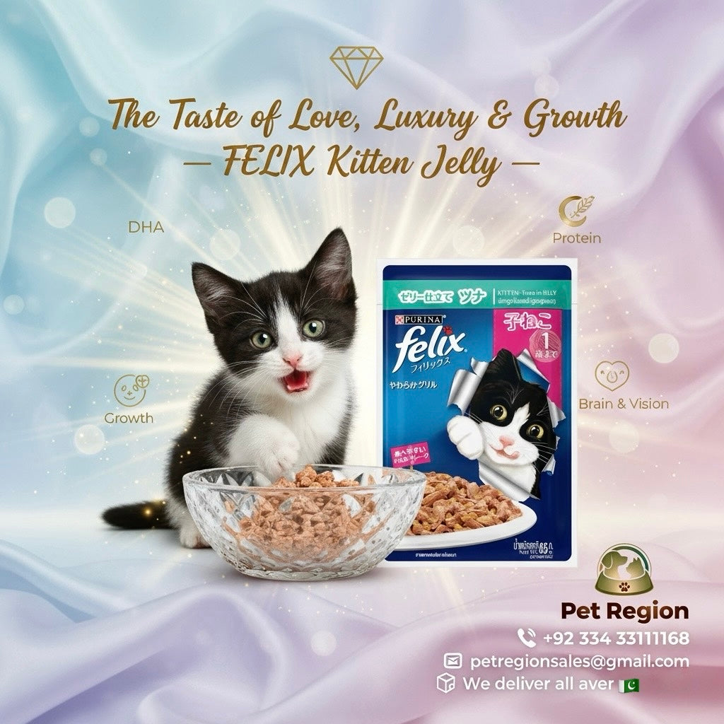 FELIX Kitten Jelly Wet Cat Food 85g Pouch, Tasty Meal