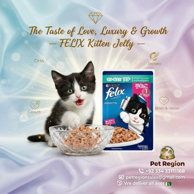 FELIX Kitten Jelly Wet Cat Food 85g Pouch, Tasty Meal