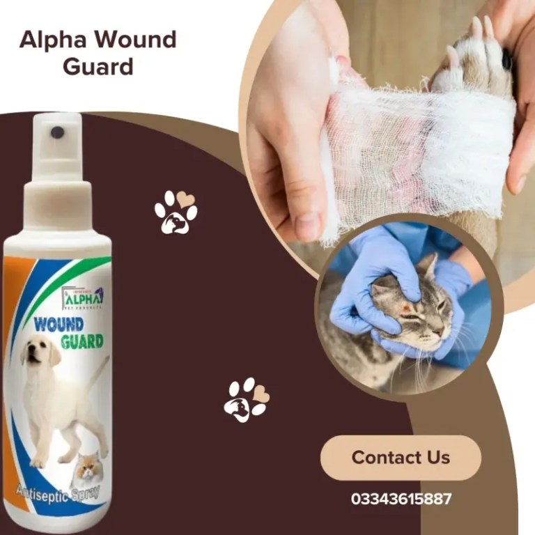 Alpha Wound Guard: Antibiotic, antiseptic, pain relief for maggot treatment