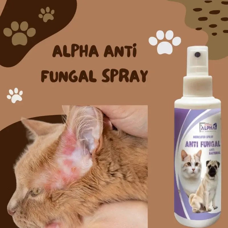 Alpha Fungal Spray: Fast, Easy Treatment for Fungus & Ringworm