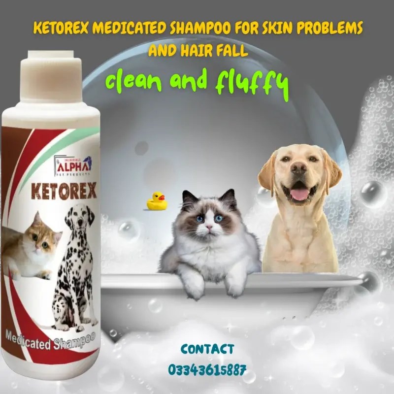 Alpha Ketorex shampoo treats skin issues and hair loss