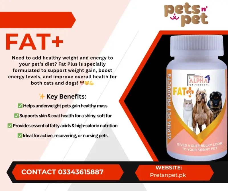 Fat+ for thin pets to create a cute, bulky appearance