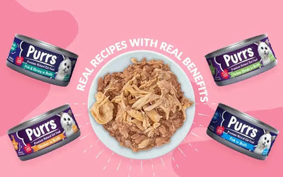 Purrs Wet Cat Food – 130g Tin | Chicken & Fish Flavor