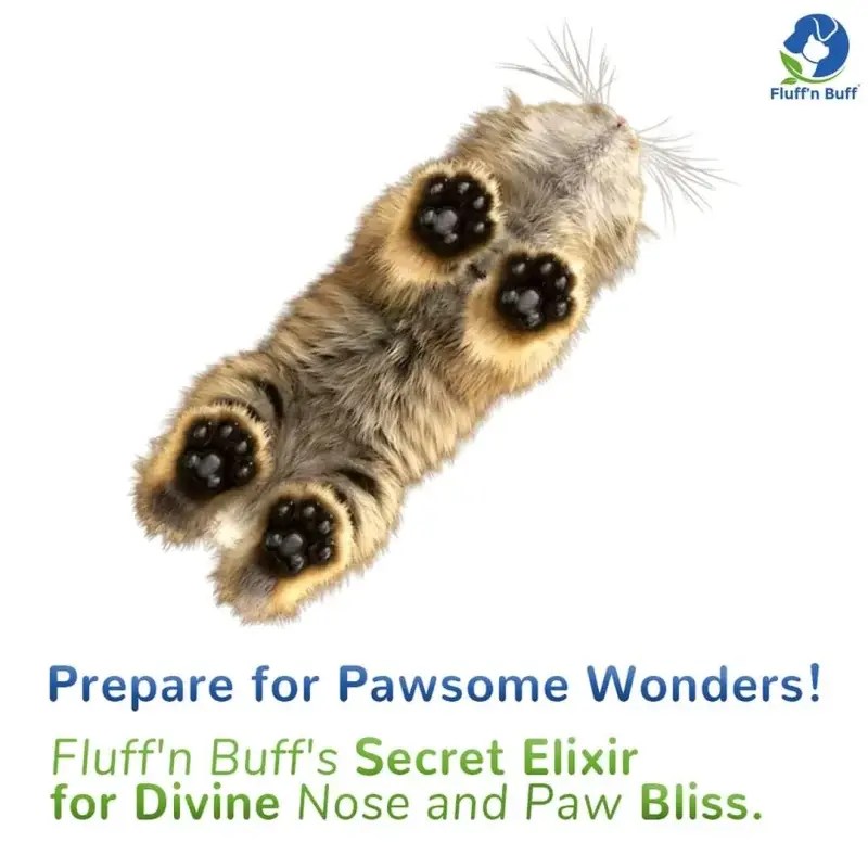 Nose’n Paw Pet Balm to nourish, protect, and heal skin.