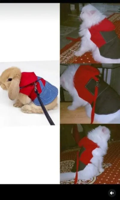 Imported winter sweaters, shirts, and hoodies for pets