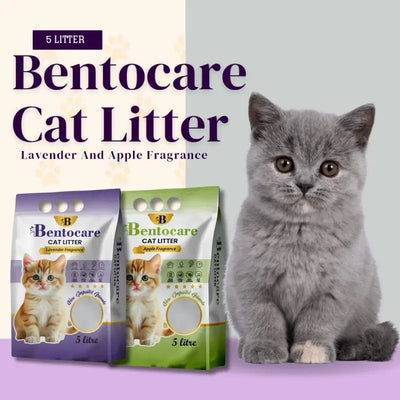 Bento Care Cat Litter Apple and Lavender Fragnance
