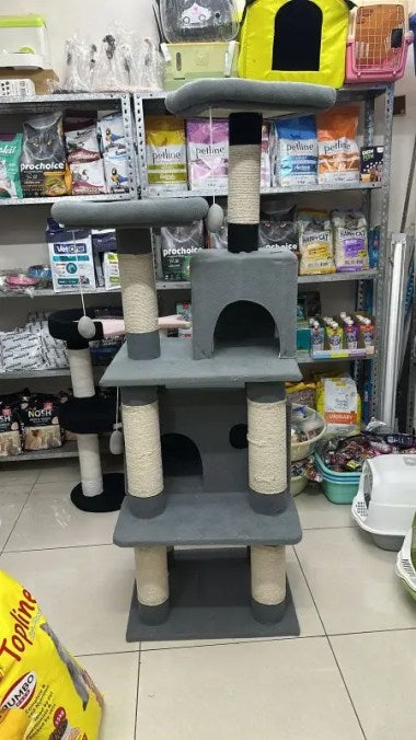 Cat Scratching Tree Post with House, 5.5 Ft Tall for Play