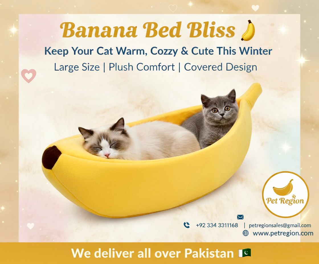 Fully Covered Banana Design Cat Bed Large size for cat Coozy winters