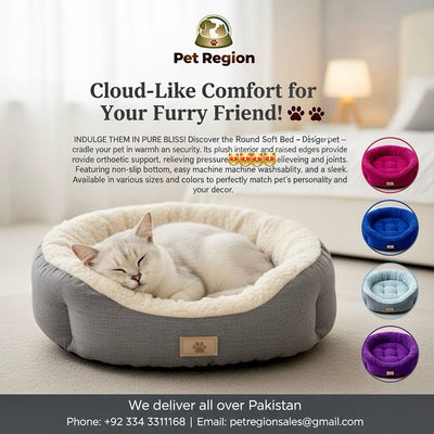 Round Soft Best Cat Beds for Pets