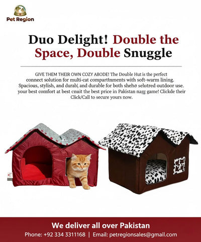 Double Hut Cat House The Cozy Twin Cat House