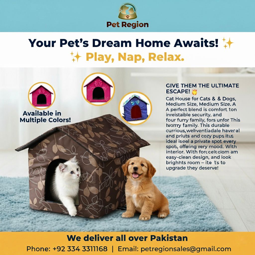 Cat House _ XXL size Cozy Soft Comfortable Design for Cat family and Dogs