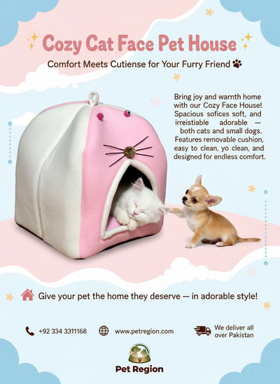 Doremon Design Cat house for cats and Dogs Large Size