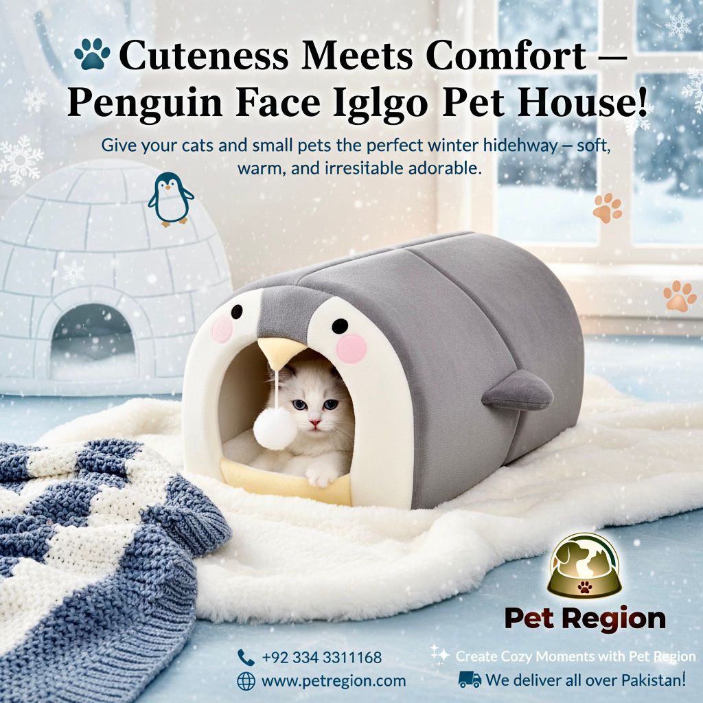 Penguin Face Igloo Pet House for cats comfort