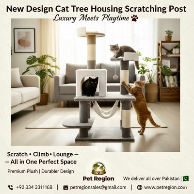 New Design Cat tree Housing scratching Post for cat playing Activity