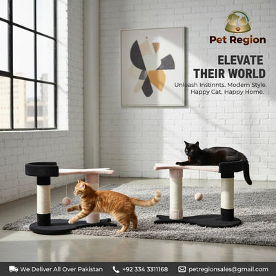 Fish-shaped cat tree for scratching, playing, and resting