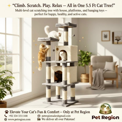 Cat Scratching Tree Post with House, 5.5 Ft Tall for Play