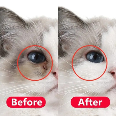 D-stain tear remover for pets' eyes and more care