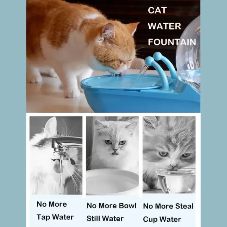 Fancy pet water fountain and dispenser for cats, dogs