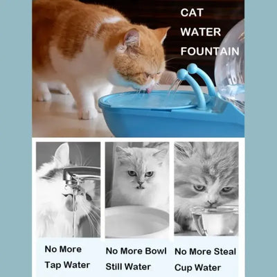 Fancy pet water fountain and dispenser for cats, dogs