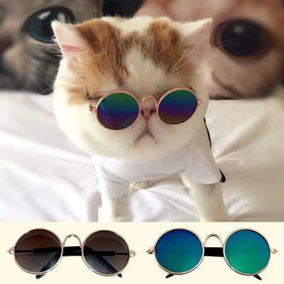 Trendy Round Sunglasses for Dogs & Cats – Fashion Pet Eyewear with UV Protection