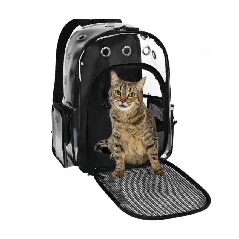 Smoochie Bubble Cat Backpack – Clear, Comfortable & Stylish Pet Carrier for Cats and Small Dogs