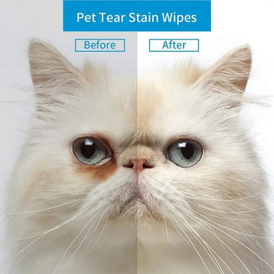 D-stain tear remover for pets' eyes and more care