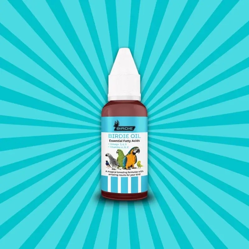 Birdie Oil promotes healthy, active, and fertile feathers