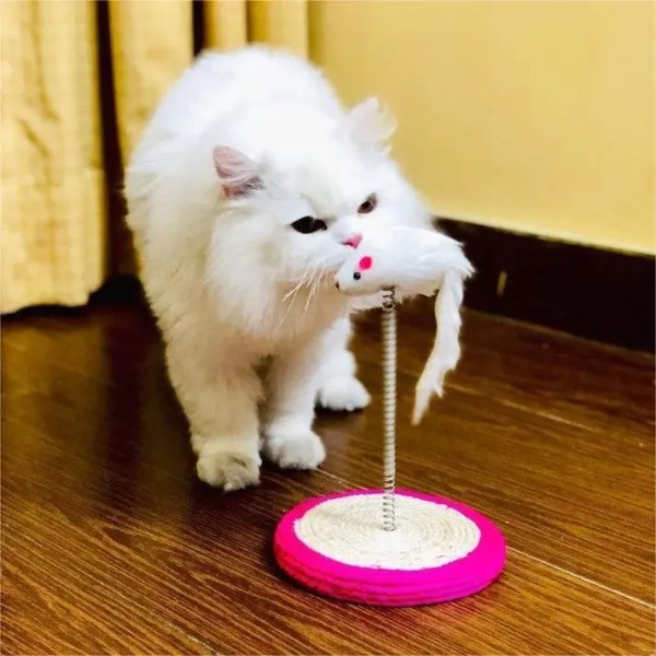 Pet scratching toy featuring a playful mouse design