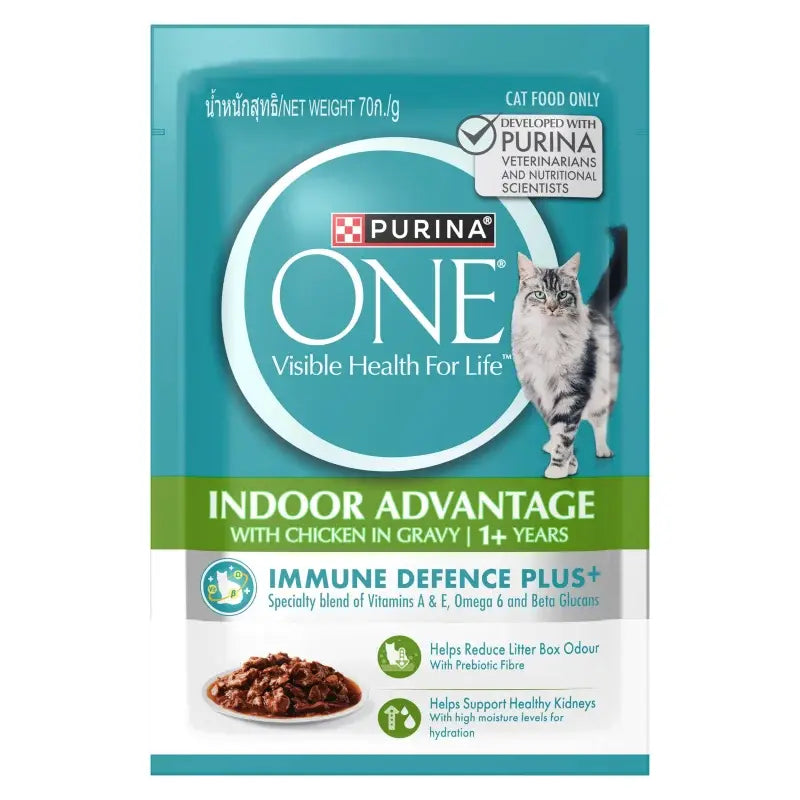 Purina ONE Indoor Chicken Wet Cat Food with Gravy