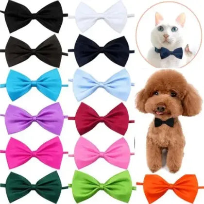 Adjustable Pet Cat Dog Neck Collar Bow Design With Bell