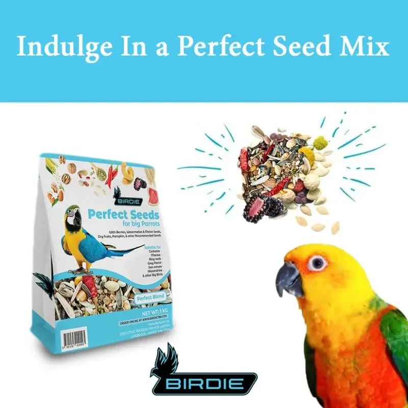 Birdie Perfect Seeds for Big Parrots & Birds – 1kg