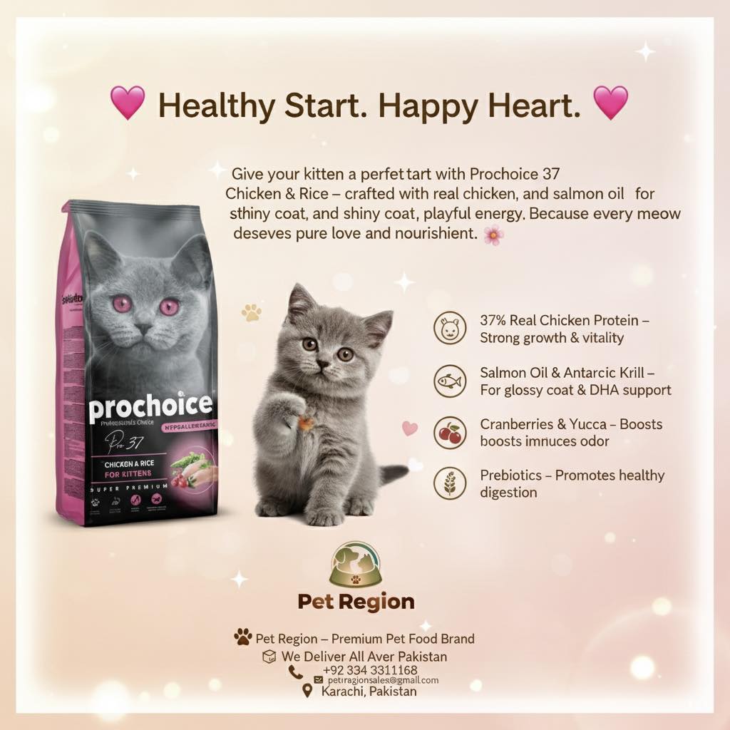 ProChoice Kitten Food 2kg – Chicken & Rice | Lamb & Rice Formula