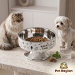 Elevated Stainless Steel Pet Bowl for Cats & Dogs